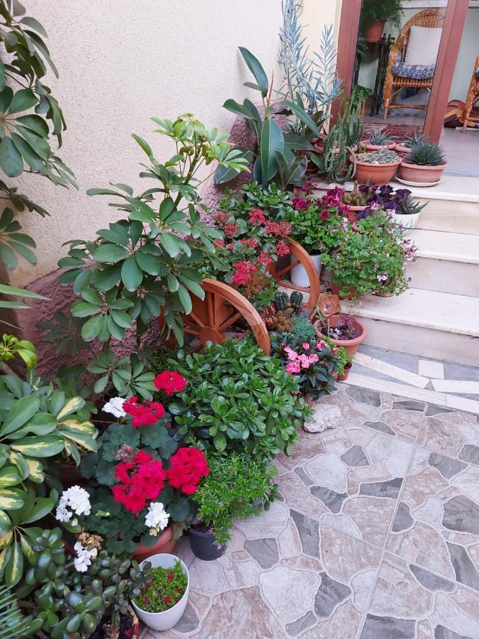Vila Kodra Τίρανα Εξωτερικό φωτογραφία