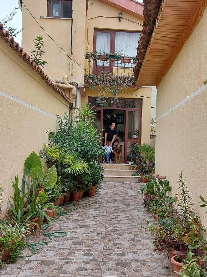 Vila Kodra Τίρανα Εξωτερικό φωτογραφία